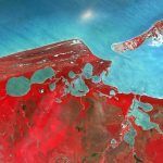 Lançamentos de Cursos Online: Guia Completo para Escolher e Implementar sua Plataforma EAD Ideal!