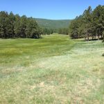 Dominando as estratégias de PPC: Guia definitivo para impulsionar seus cursos online no mercado EAD